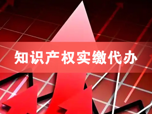 京山知识产权实缴资本代办